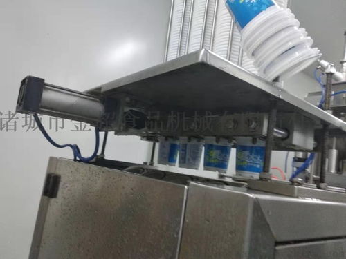 雪糕全自动灌装封口包装机 高效食品机械的视觉展示